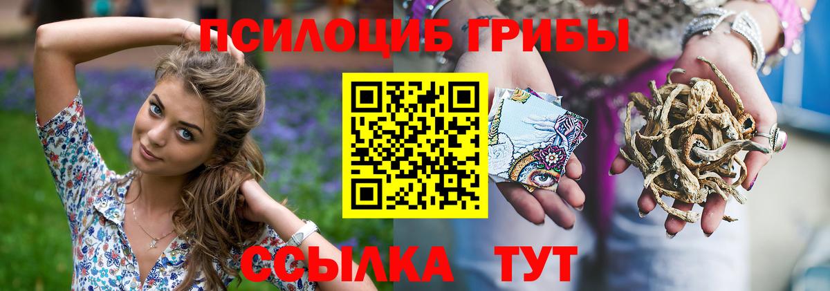 Галлюциногенные грибы Magic Shrooms Коммунар