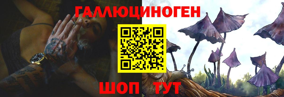 Псилоцибиновые грибы Psilocybe  Вход с VPN  Коммунар 
